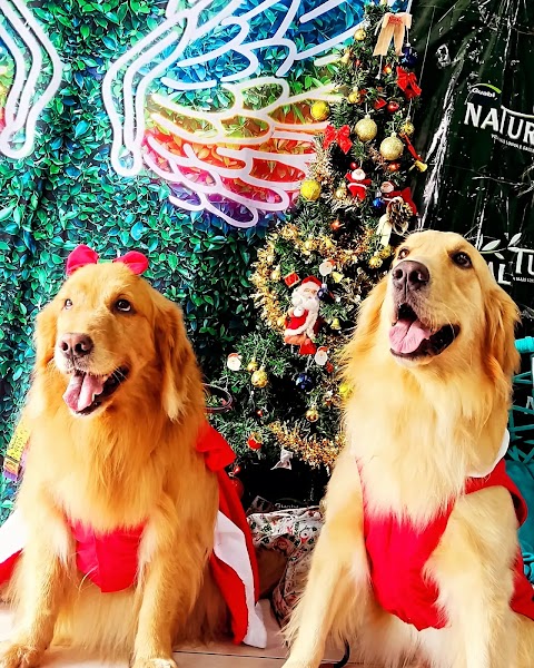 Dog Love | Banho e Tosa em Santos