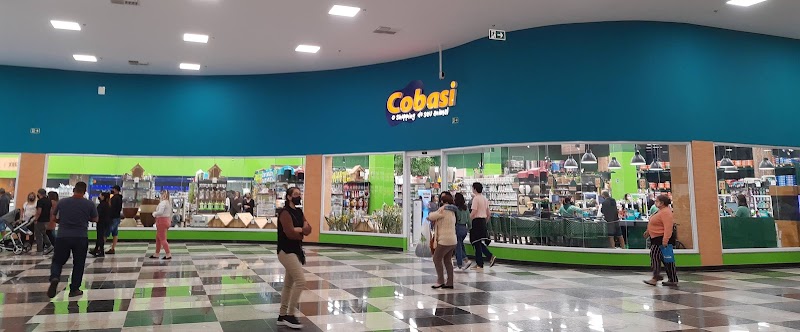 Cobasi Francisco Glicério - Santos