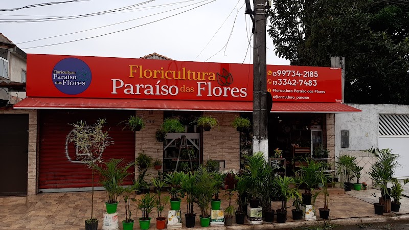Paraíso Das Flores