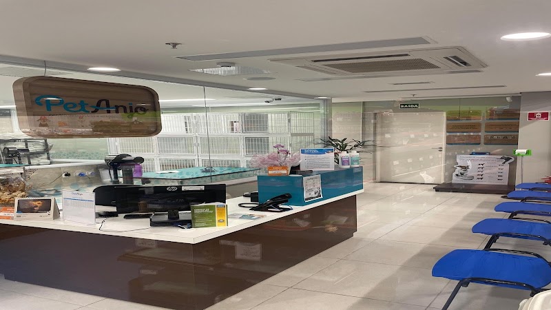 Pet Anjo Francisco Glicério: Veterinário, Banho e tosa, Vacinas em Santos