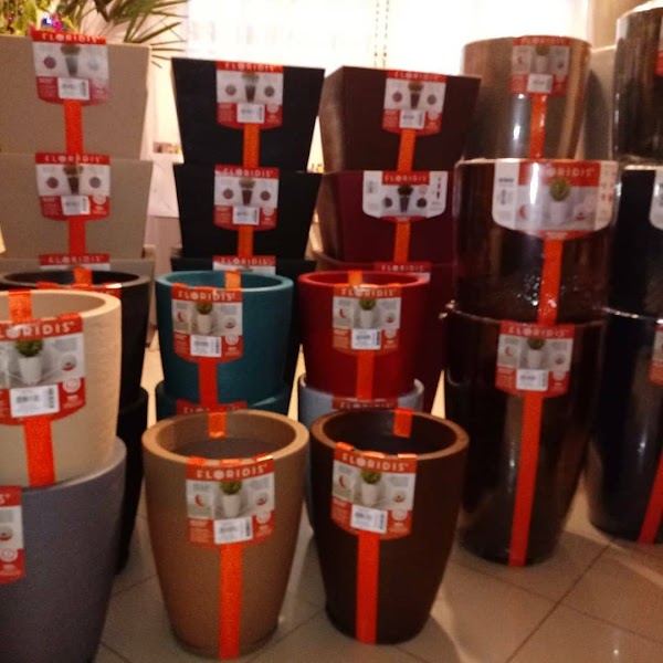 Floricultura Alycia Flores