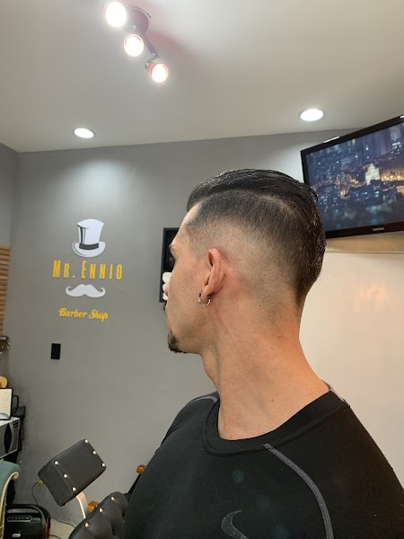 Mr.Ennio Barbearia