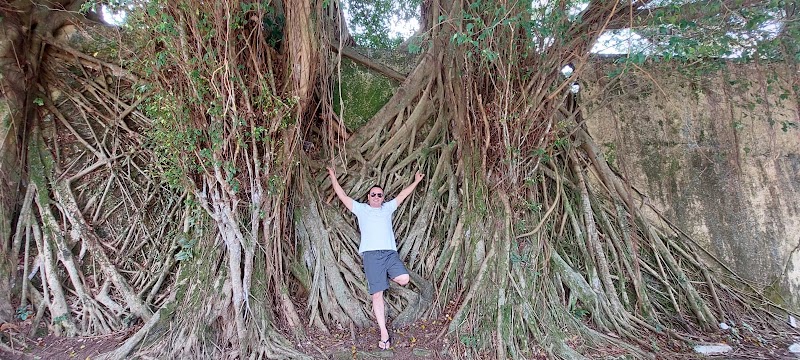 Busstop receptivo turistico