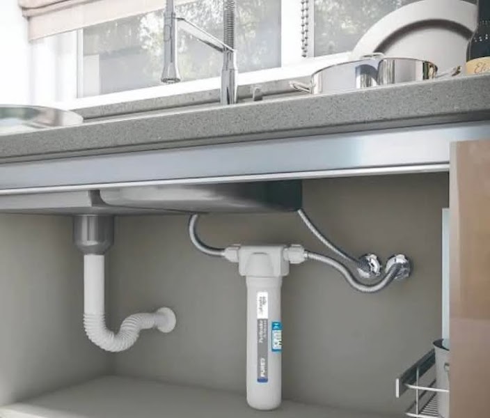 Falcone Aguia Reforma