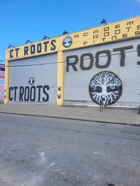 Academia Roots Fitness