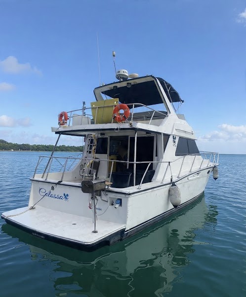Passeio de lancha no Guarujá Dr Lanchas