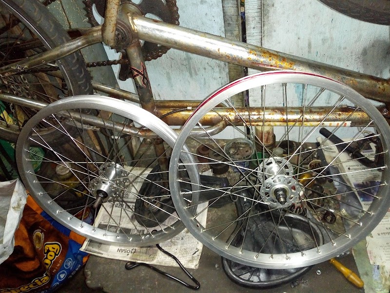 Auto Elétrica Del Rei