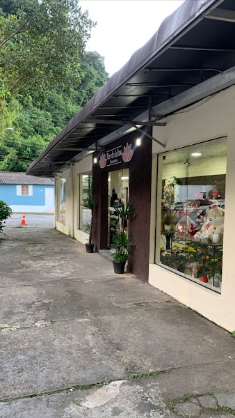 Floricultura Flor de Lotús