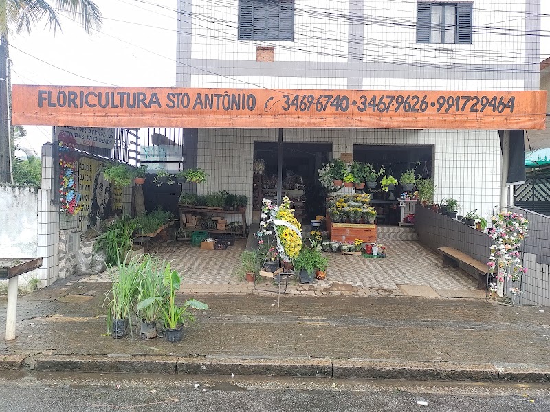 Floricultura Santo Antônio