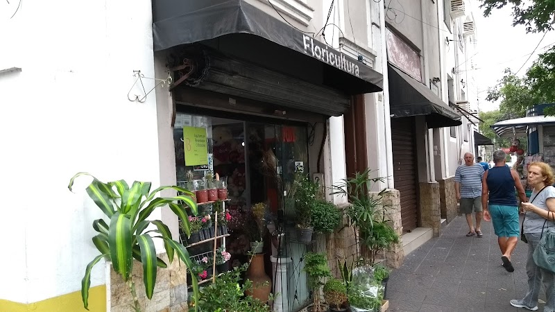 FLORICULTURA CLARA LUZ