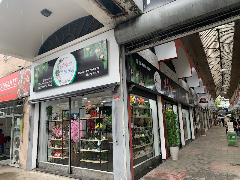 Haon Flores Artificiais