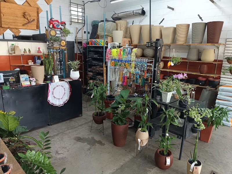 Garden Costa Plantas e Floricultura