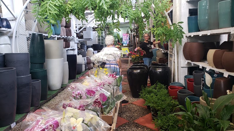 Fenix ​​Plants And Gardens