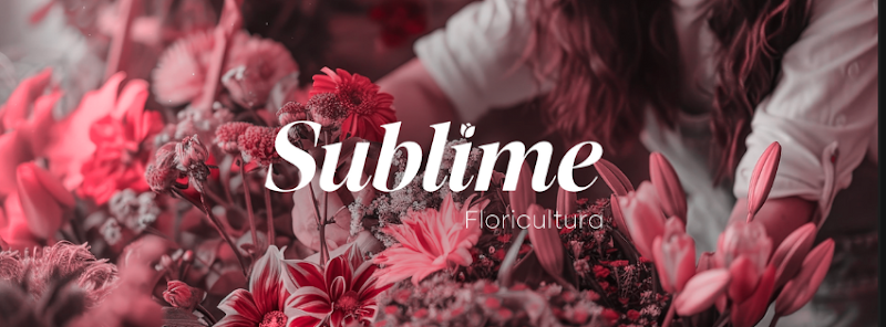 Floricultura Sublime - Rosas e Presentes - Santos -Sp