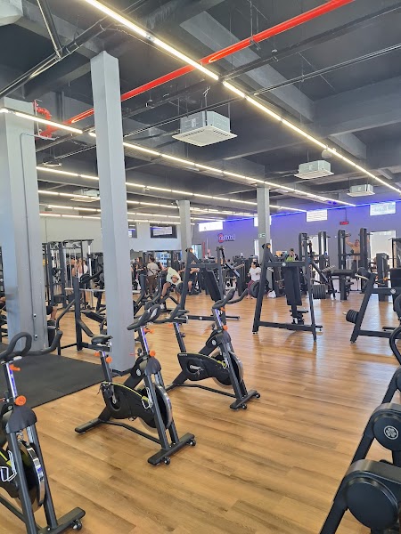 Cristal Academia São Vicente